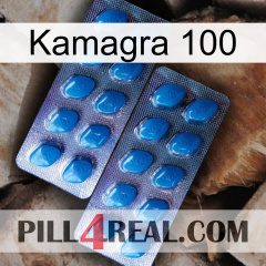 Kamagra 100 viagra2